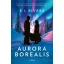Aurora Borealis