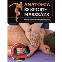   Anatómia és sportmasszázs - A legfontosabb masszázstechnikák lépésről lépésre