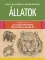 Nagy rajziskola mindenkinek - Állatok