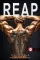 Reap - Lekaszál (Scarred Souls 2.)